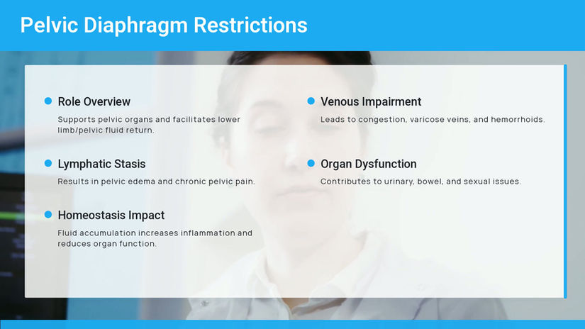 The Vital Role of Venous and Lymphatic Return in Osteopathic Care